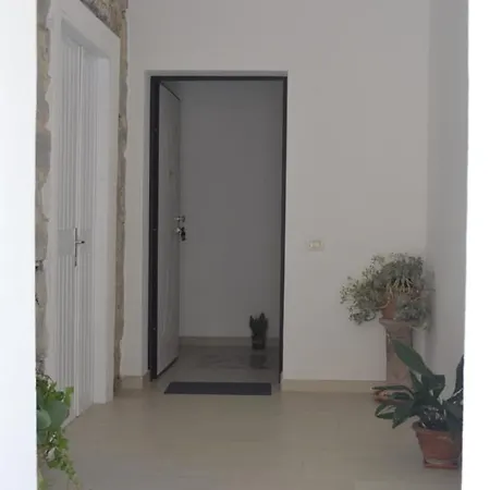 Palm House Affitta Guest house *