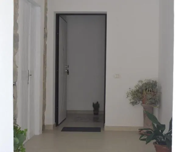 Palm House Affitta Affittacamere 3*